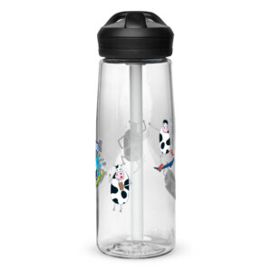 Sports water bottle