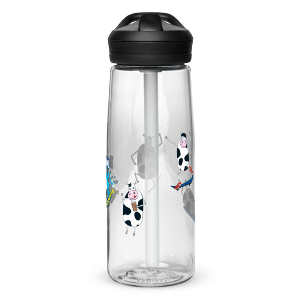 Sports water bottle