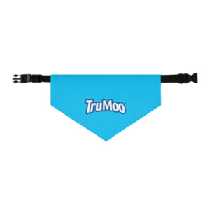 Pet bandana collar